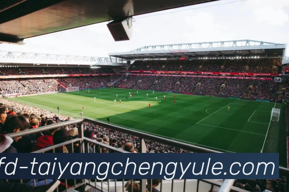 太阳城娱乐APP 体育赛事宣传图